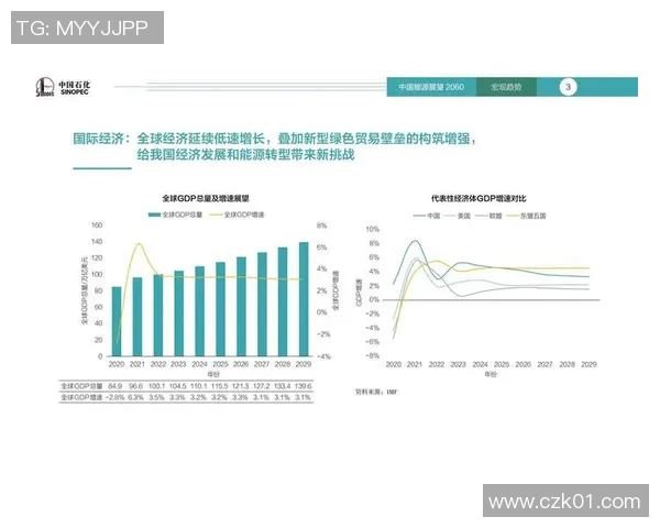 足球明星刘子宁的崛起之路与未来发展展望分析