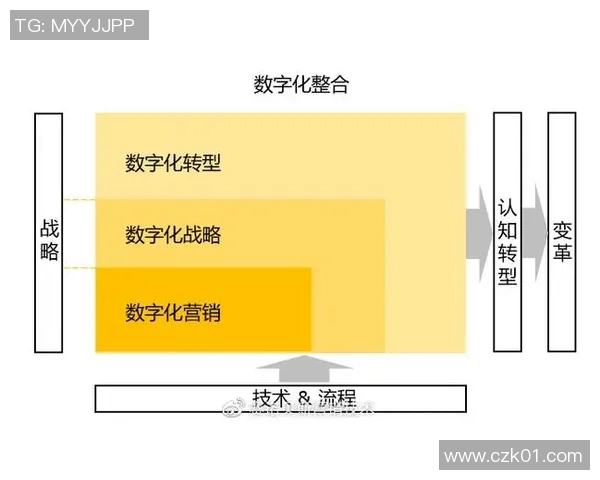 上海篮球队运营革新探索：从管理模式到市场推广的全方位转型之路